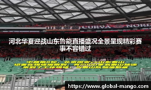 河北华夏迎战山东鲁能直播盛况全景呈现精彩赛事不容错过