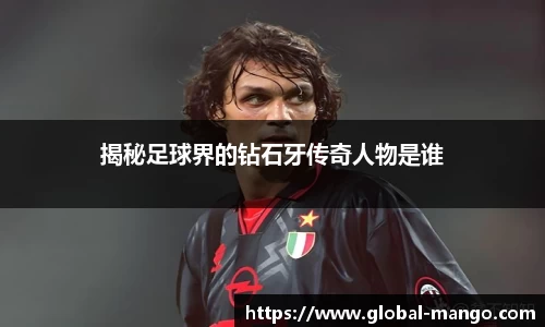 芒果体育官网入口